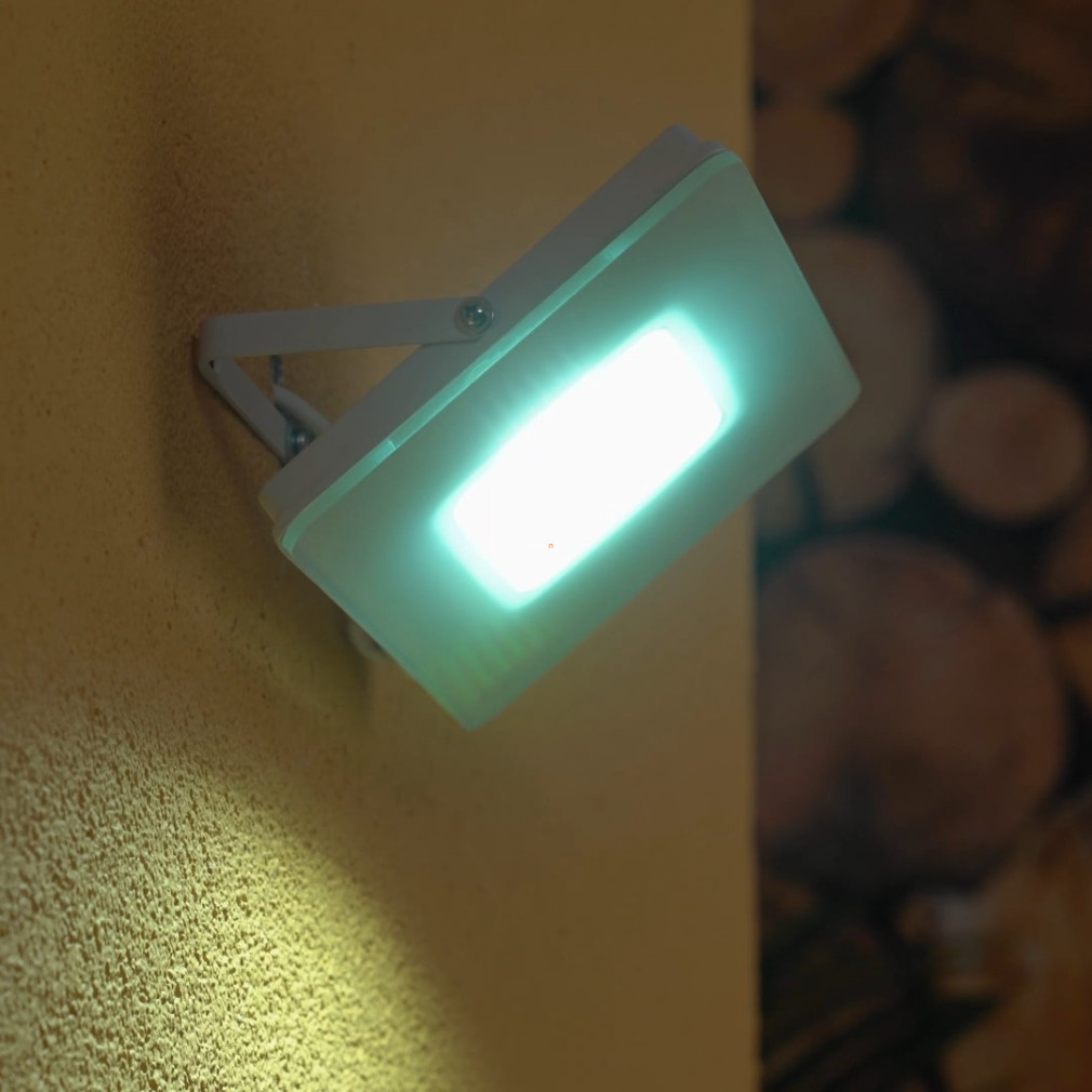 Spot LED 31 W, lumină albă rece (Faedo)