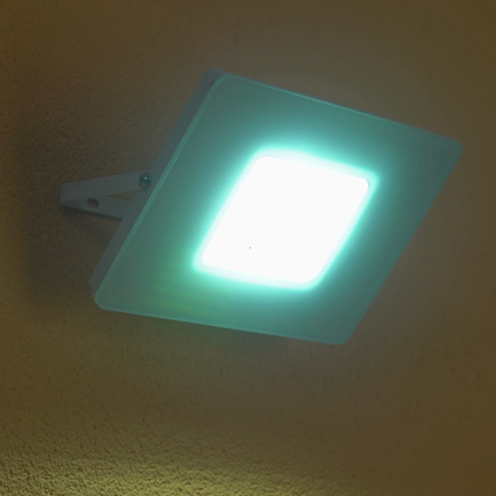 Reflector LED 53 W, lumină albă rece - Faedo Eglo 33155