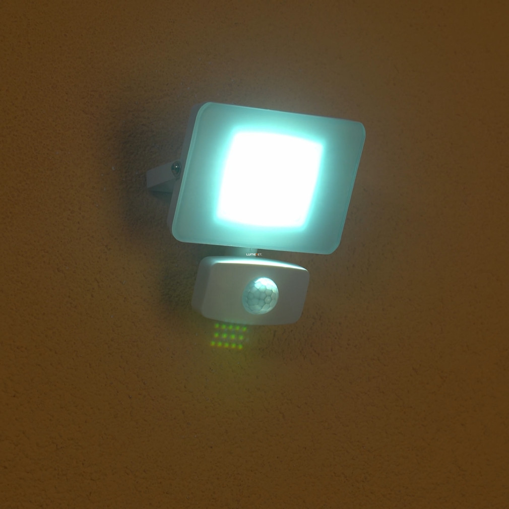 Reflector LED cu senzor de mișcare 10 W, lumină albă rece - Faedo Eglo 33156