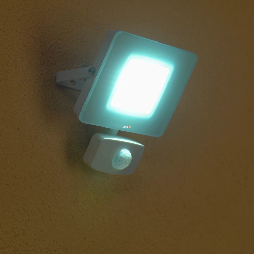 Reflector LED cu senzor de mișcare 21 W, lumină albă rece - Faedo Eglo 33157
