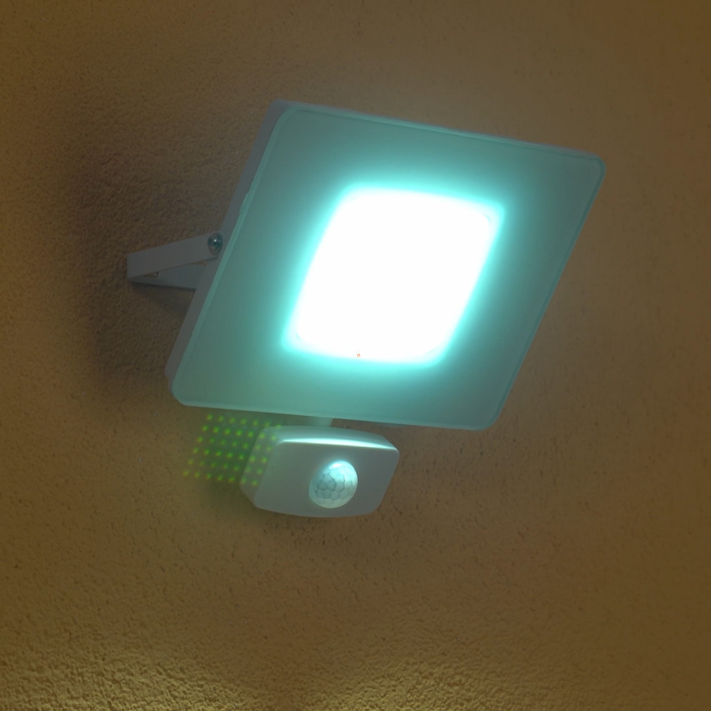 Reflector LED cu senzor de mișcare 31 W, lumină albă rece - Faedo Eglo 33158