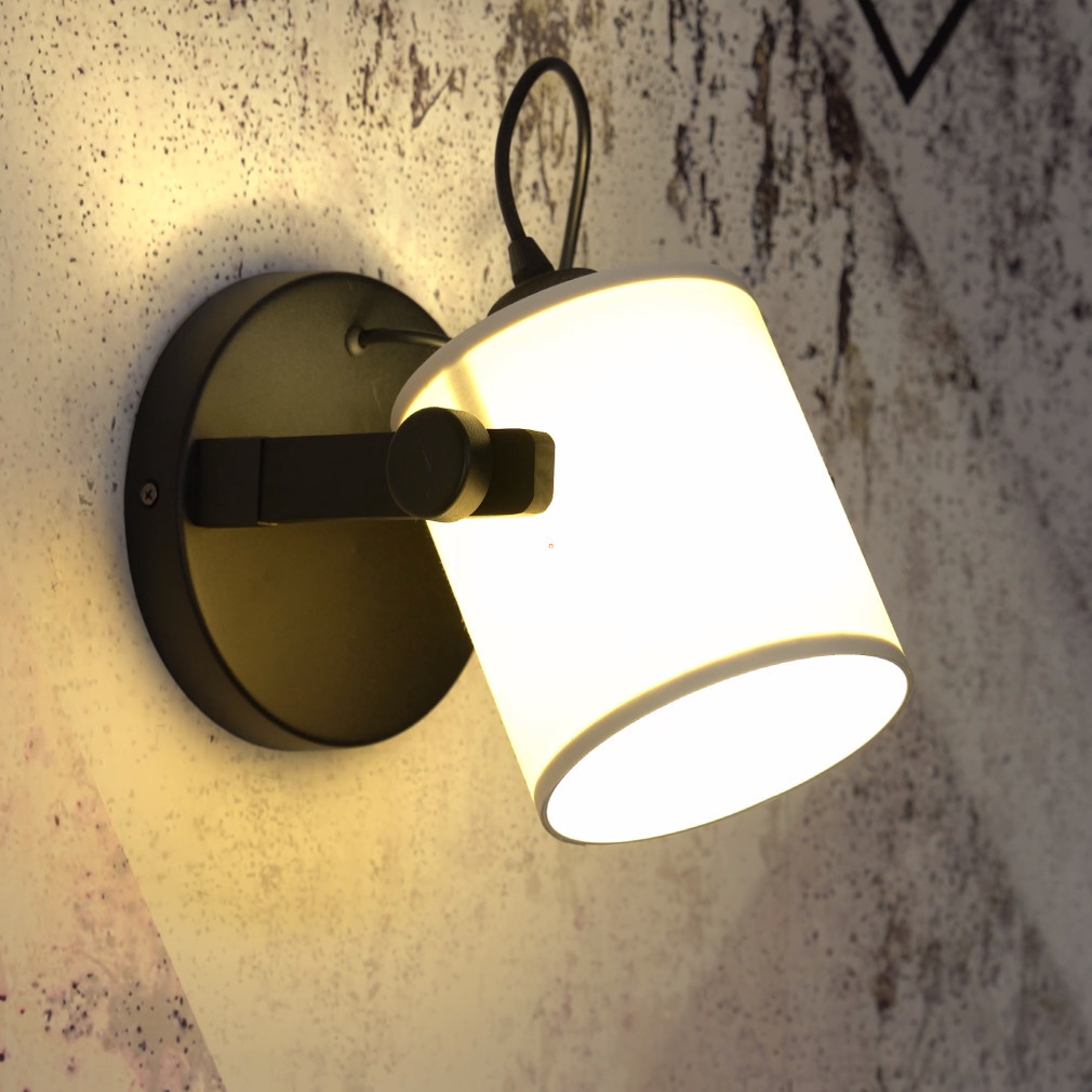 Spot lamp, black and white - Hornwood Eglo 43427