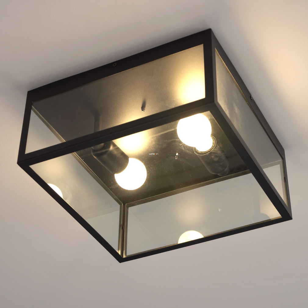 Lampa de tavan cu două becuri, transparent-negru - Charterhouse Eglo 49392