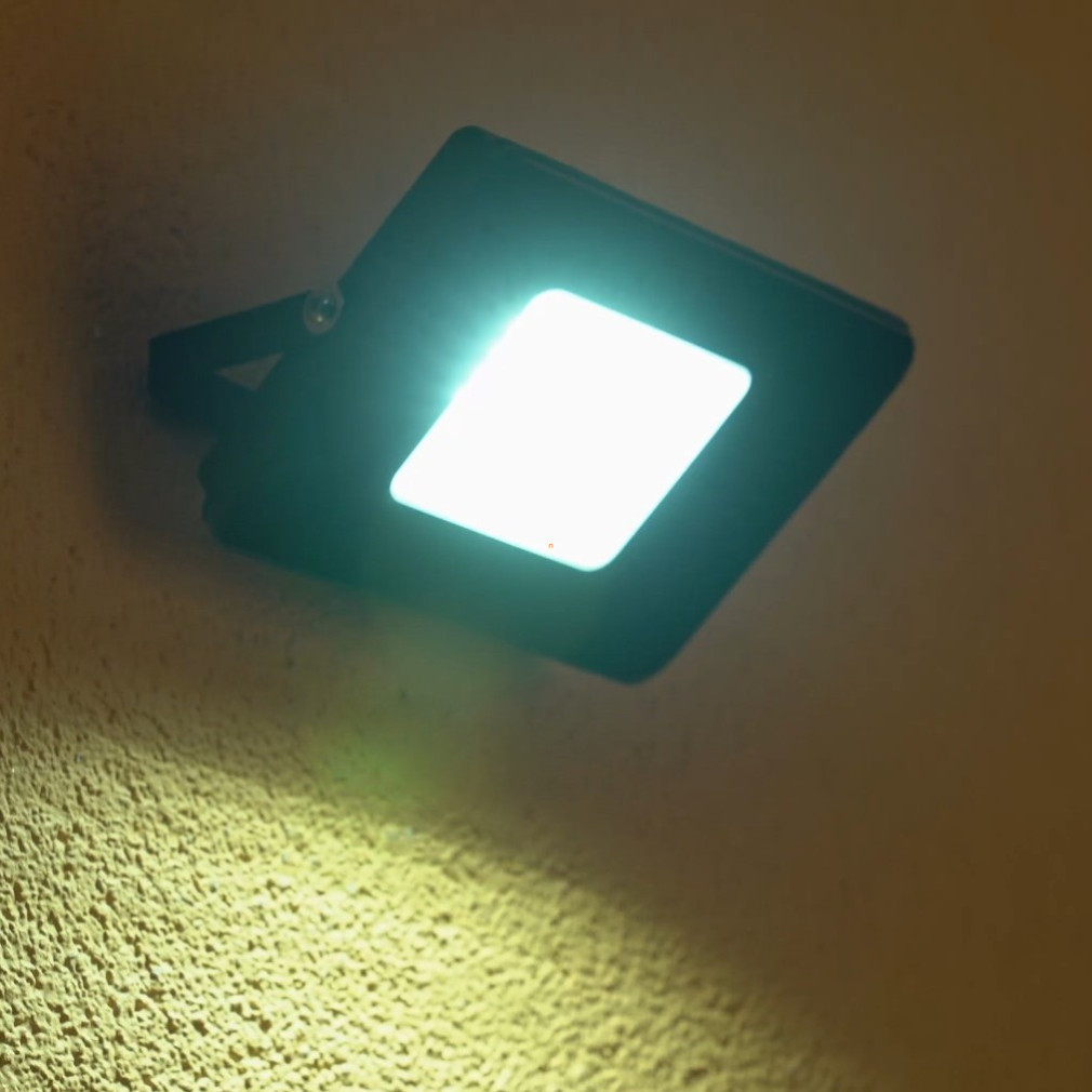 Reflector LED 21 W, lumină albă rece, negru - Faedo Eglo 97456