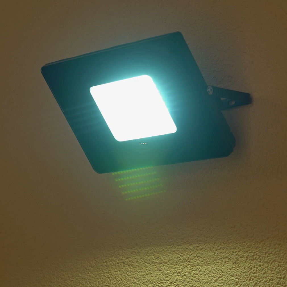 Reflector LED 53 W, lumină albă rece, negru - Faedo Eglo 97458
