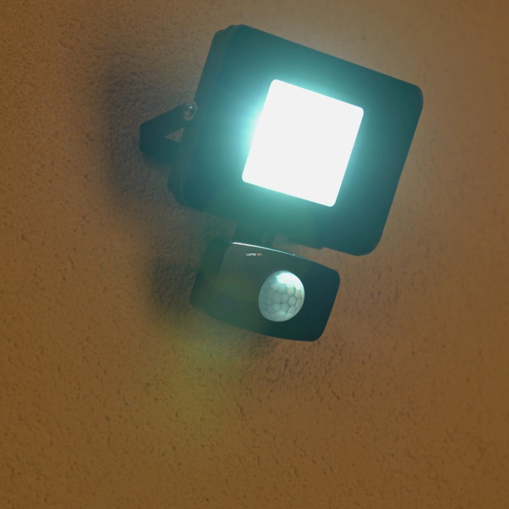 Reflector LED cu senzor de mișcare 10 W, lumină albă rece, negru - Faedo Eglo 97459
