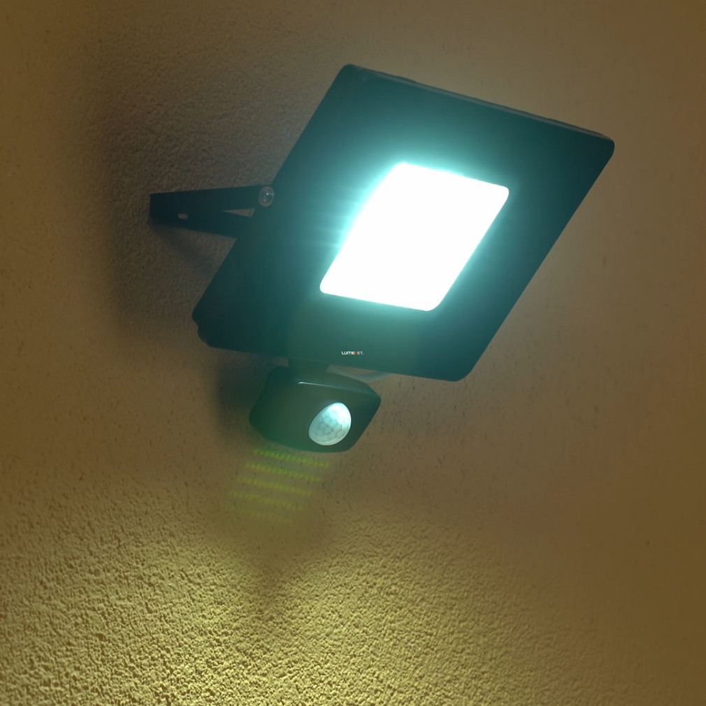 Reflector LED cu senzor de mișcare 53 W, lumină albă rece, negru - Faedo Eglo 97463