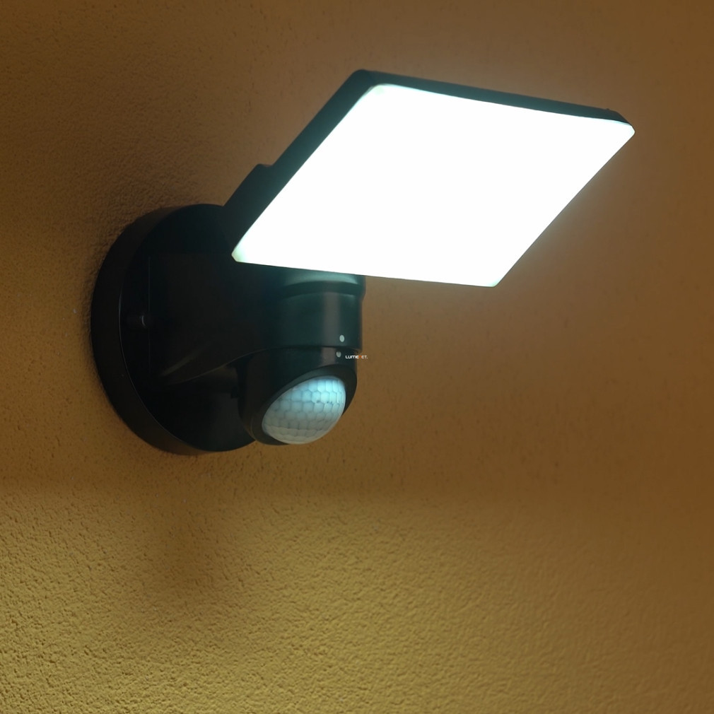Lampă LED de exterior cu senzor de mișcare, lumină albă rece, 18x26 cm - Pagino Eglo 98178