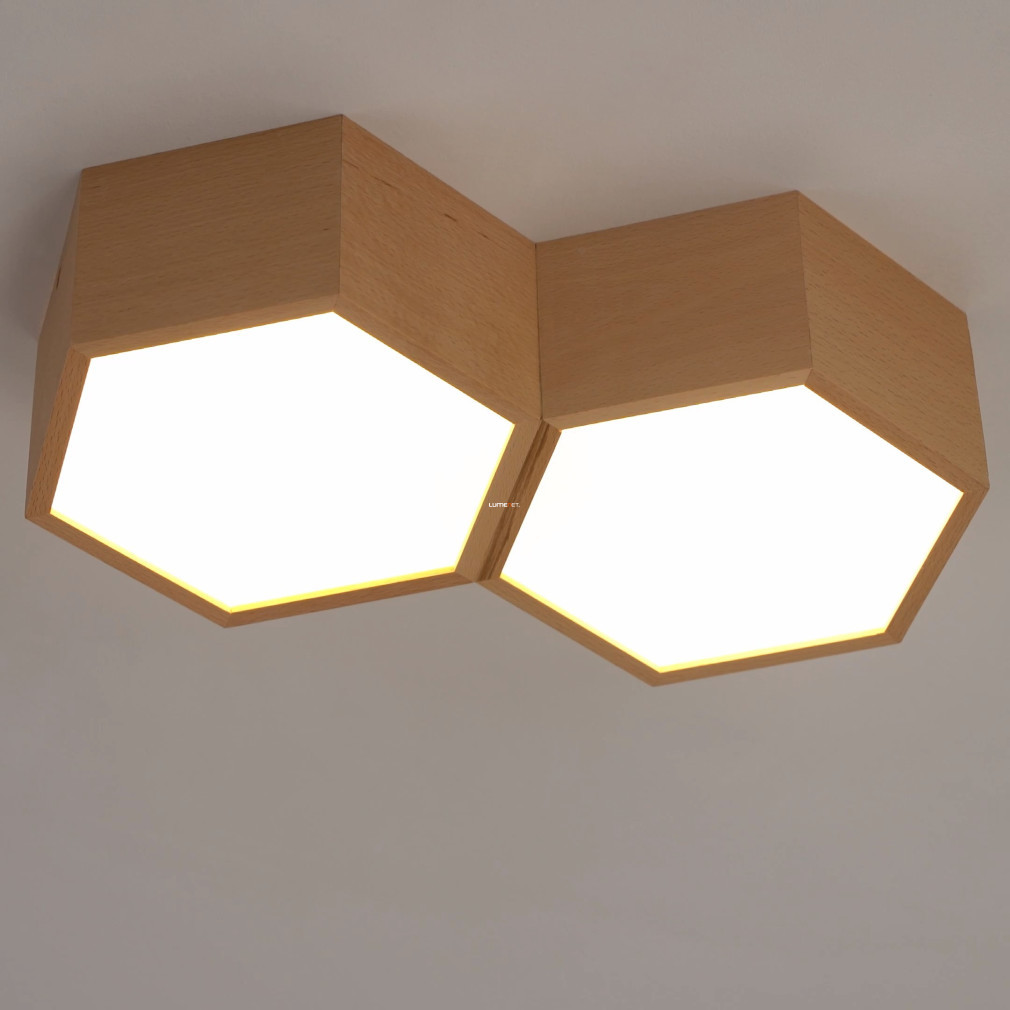 Lampa de tavan cu două becuri, culoare alb-lemn - Mirlas Eglo 98861
