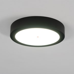   Lampă LED de tavan, negru, lumină albă rece - Fueva 5 Eglo 99233