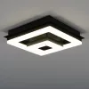 Lampă LED cu cadru dublu pentru tavan, cu efect de cristal granulat - Fradelo 1 Eglo 99327