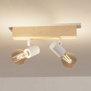   Spotlight - Townshend 3 Eglo 99483, cu 2xE27 soclu, 220-240 V, IP20