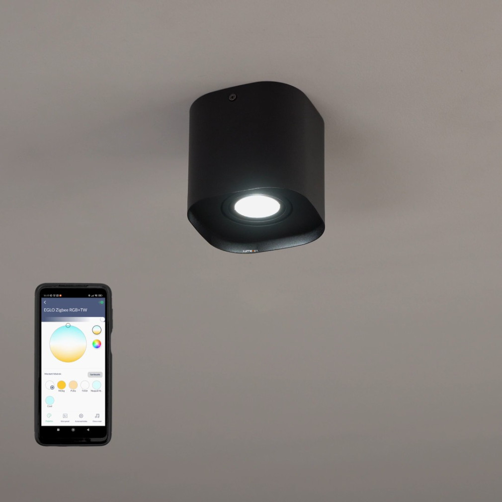 Lampa de tavan reglabilă, negru - Caminales Eglo 99673
