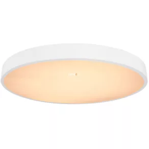   Lampă LED de tavan cu telecomandă, 48 W, alb rece-cald, culoare albă - Wiss Globo 41744-48