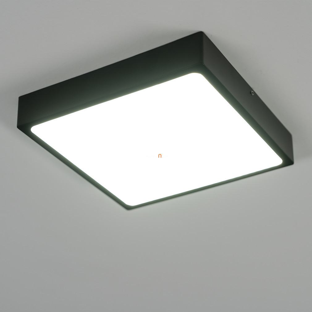 Lampa LED de tavan, 17x17 cm - Echo Globo 12369-22