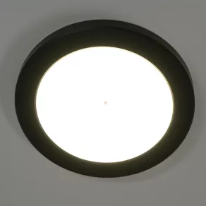   Lampă LED de tavan cu intensitate reglabilă, alb rece/alb cald, 22 cm - Lasse Globo 12379-18B
