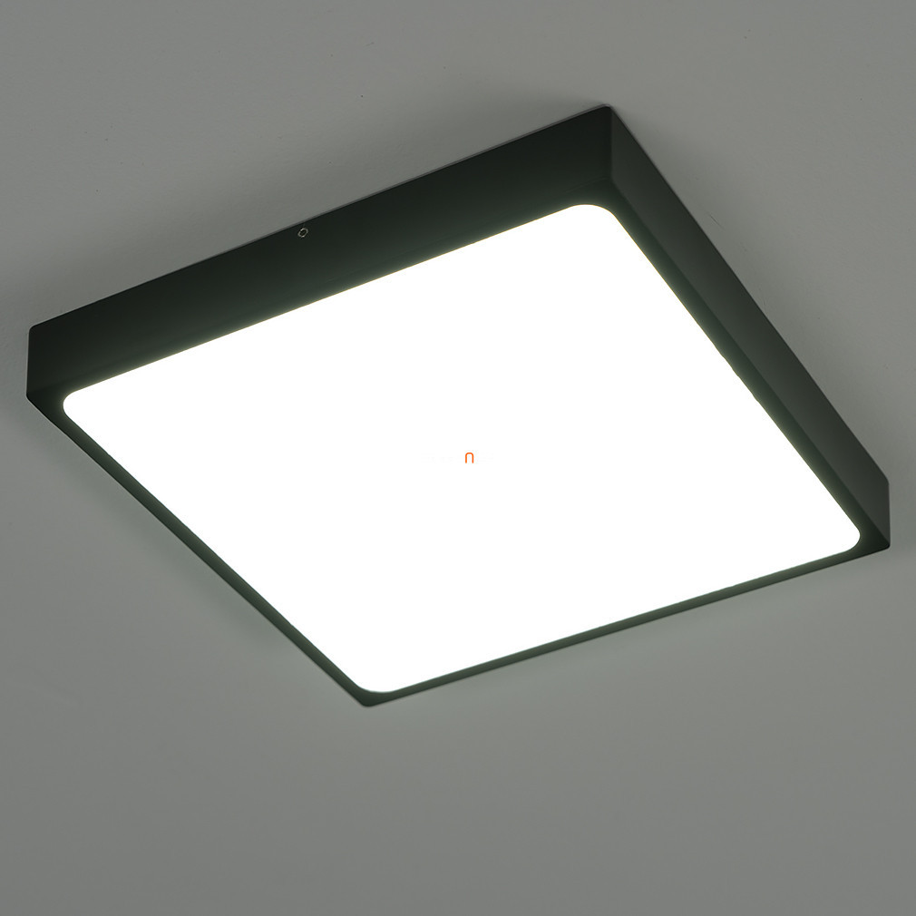 Lampa LED de tavan în culoare neagră - Echo Globo 12369-30