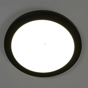   Lampă LED cu intensitate reglabilă pentru tavan, alb rece/alb cald, 29,8 cm, negru - Lasse Globo 12379-24B