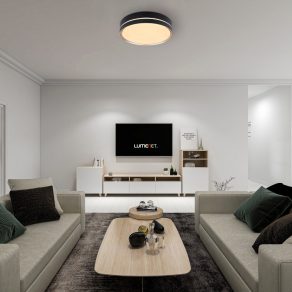   Lampă LED de tavan cu telecomandă 24 W, alb rece-cald - Manni Globo 41759-24