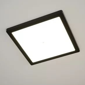   Lampă LED cu intensitate reglabilă pentru tavan, alb rece/alb cald, 29,1 x 29,1 cm - Lasse Globo 12380-24B