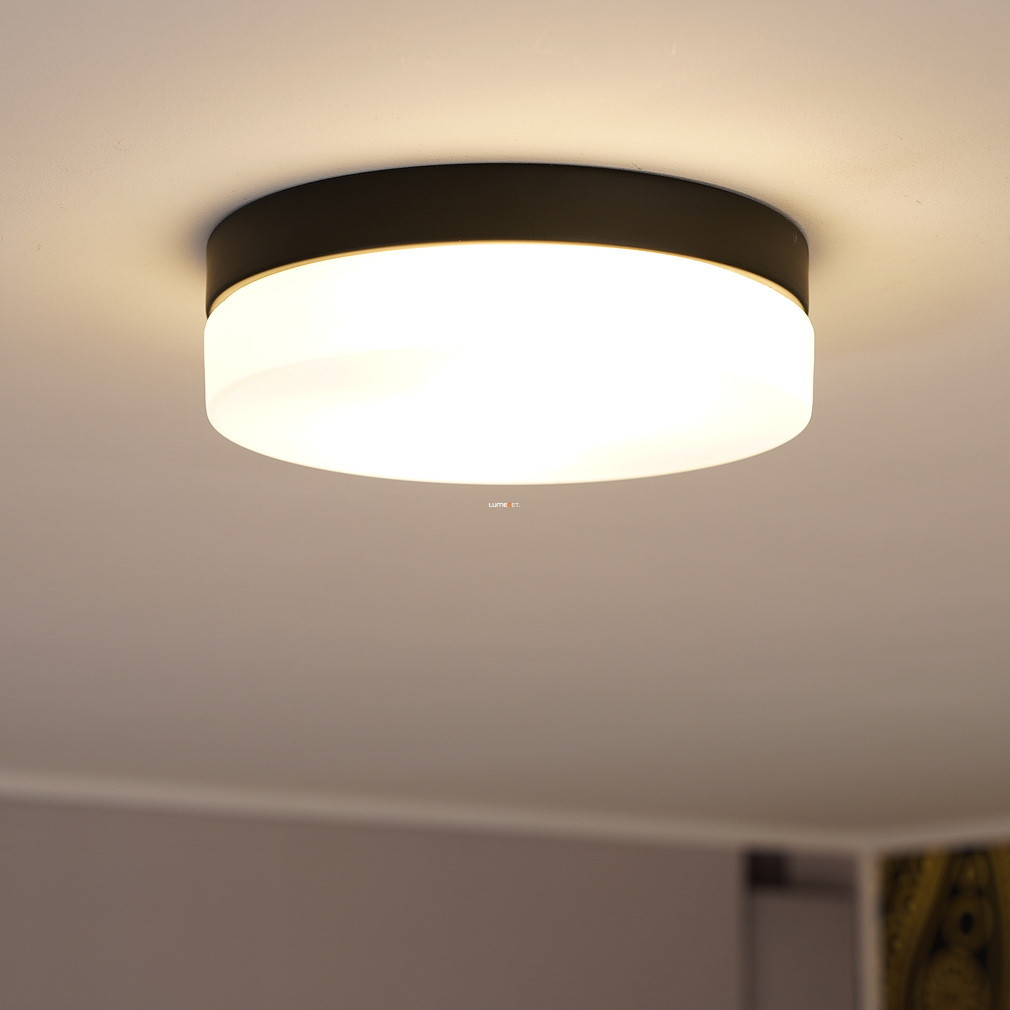 Lampă de exterior pentru tavan, 24 cm - Vranos Globo 32112B