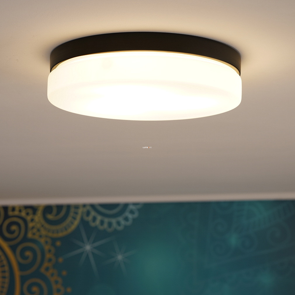 Lampă de exterior cu plafon rotund, 30 cm - Vranos Globo 32113B