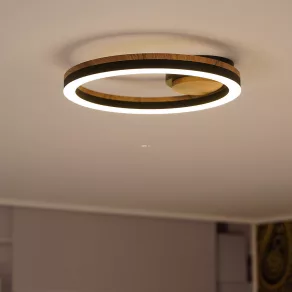   Lampă LED rotundă pentru tavan, 30 cm - Beatrix Globo 67298D