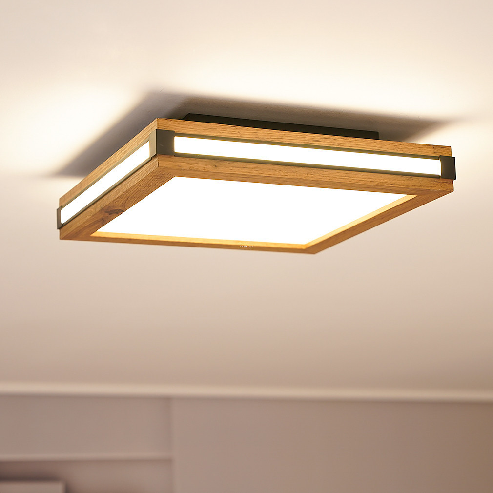 Lampa LED de tavan cu iluminare perimetrală, reglabilă cu întrerupător de perete - Carla Globo 41589D1