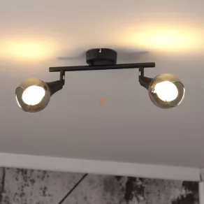   Lampă spot Karos cu 2 socluri, culoare fumurie - Glyptar Globo 57904-2