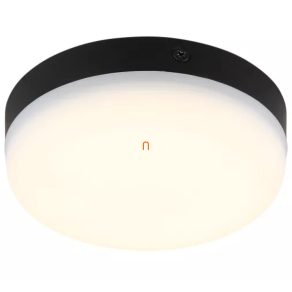 Lampă LED de tavan în negru, 12 cm - Matthew Globo 12387-8