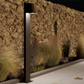 Lampă de exterior, 100 cm, negru - Stagnone Eglo 900692