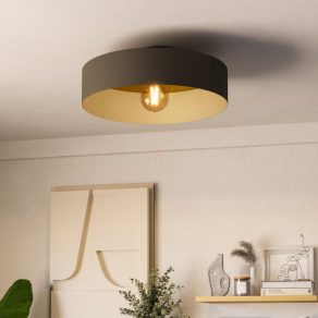   Lampă de tavan, 42 cm - Duaia Eglo 901745, cu soclu 1xE27, 220-240 V