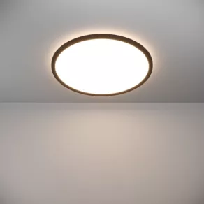   Lampă LED de tavan pentru baie cu intensitate reglabilă - Rovito Eglo 901441, 2900 lm, 2700/4000/6500K, temperatură de culoare reglabilă, 16,8 W, 220-240 V, IP44