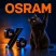 Osram Miau!