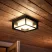 Lampă de tavan pentru exterior Philips HUE